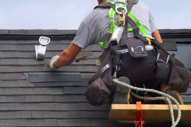 Best Local Roofing Companies  in Hugo, MN