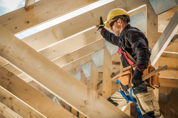 Best Roof Maintenance Services  in Hugo, MN