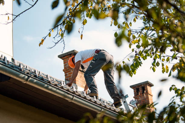 Quick and Trustworthy Emergency Roof Repair Services in Hugo, MN