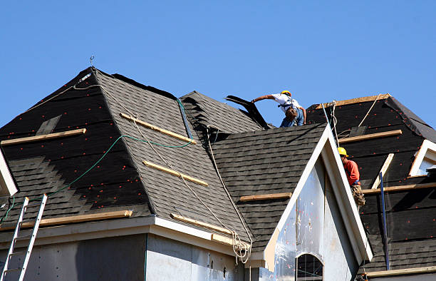 Best Gutter Installation and Roofing  in Hugo, MN