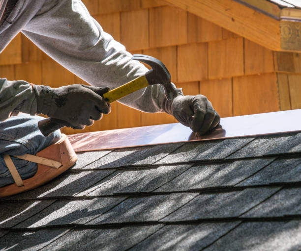 Best Sealant for Roof  in Hugo, MN